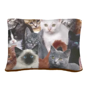 Cats for Days Pet Bed