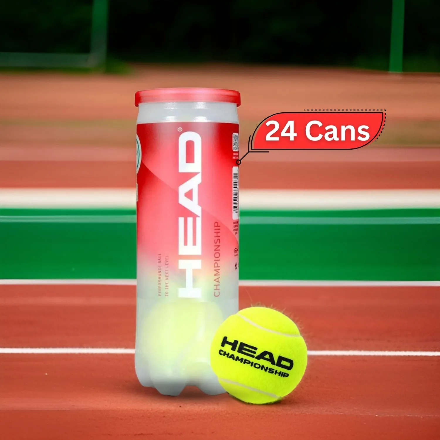 Head Championship Tennis Balls Carton (24 Cans)